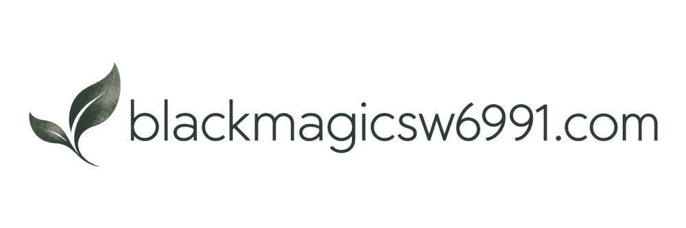 blackmagicsw6991.com